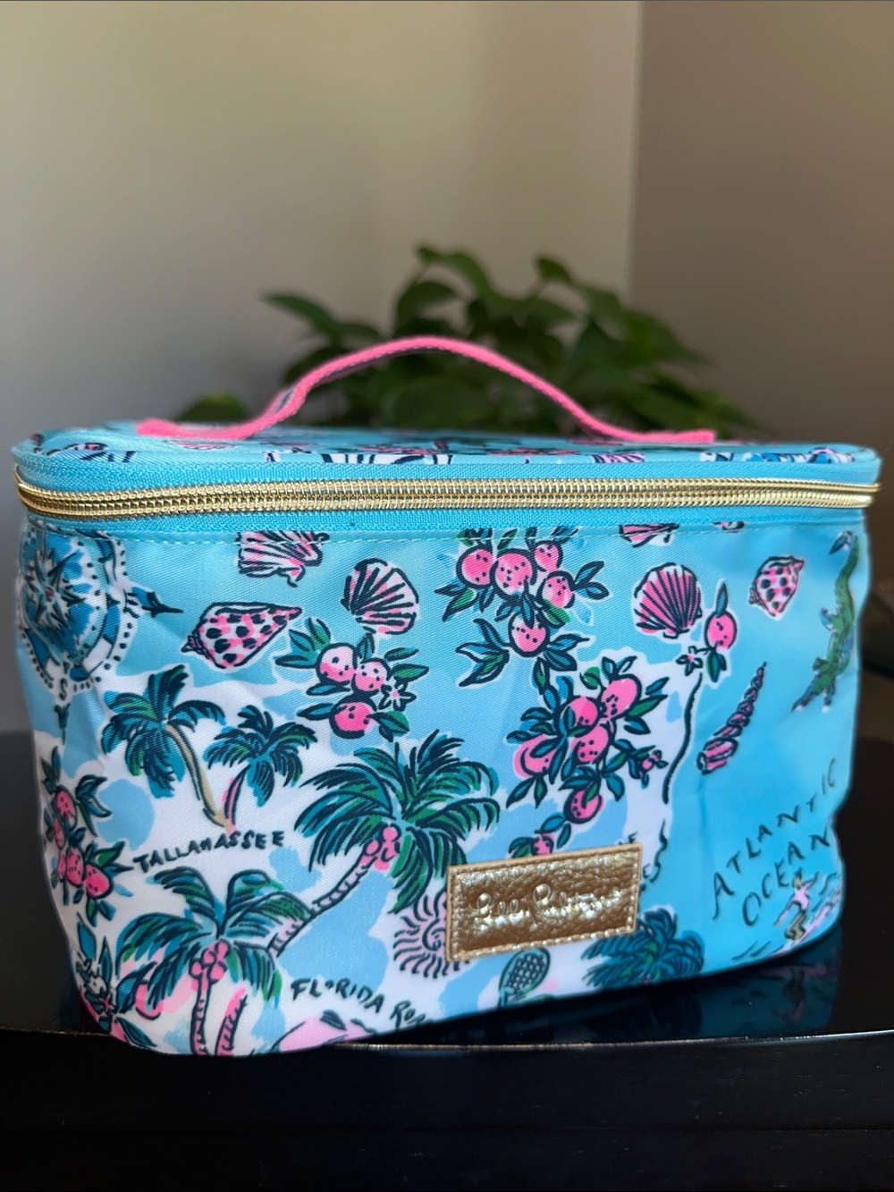 Lilly Pulitzer “Lilly’s Road Trip” Amalfi Blue & Pink Accent Cosmetic Case NWOT